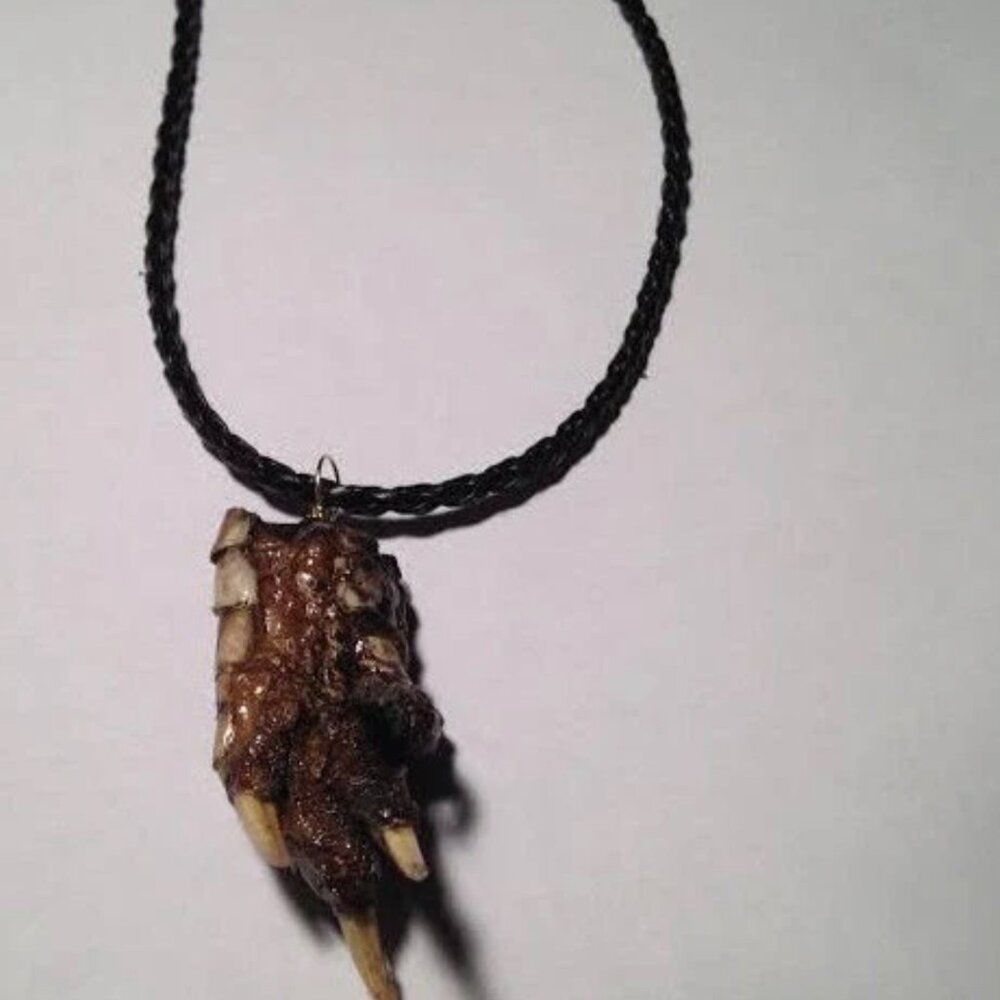 Louisiana Alligator Foot Claw Taxidermy Necklace on Black Braided Leather Straps - Picture 3 of 4